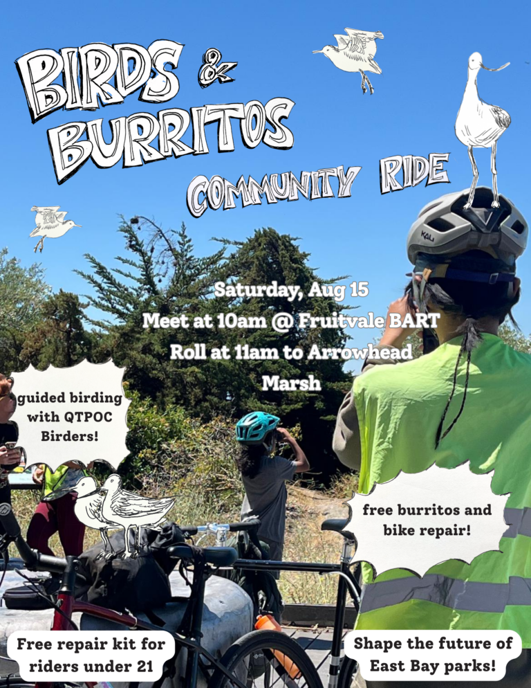 Photo of people at Arrowhead Marsh looking at birds. Birds and Burritos Community Ride is on August 15th at 10 am leaving from Fruitvale BART.